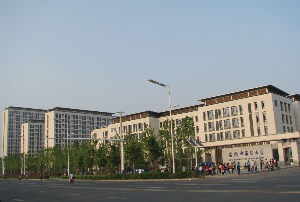 安徽中医药大学
